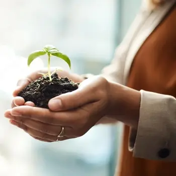 Our approach to sustainability