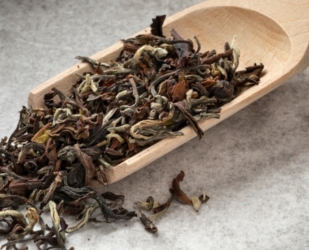 Botanical Extracts